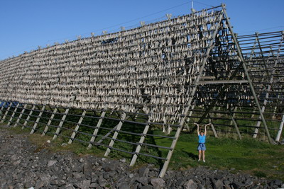 Cod drying with Amanda